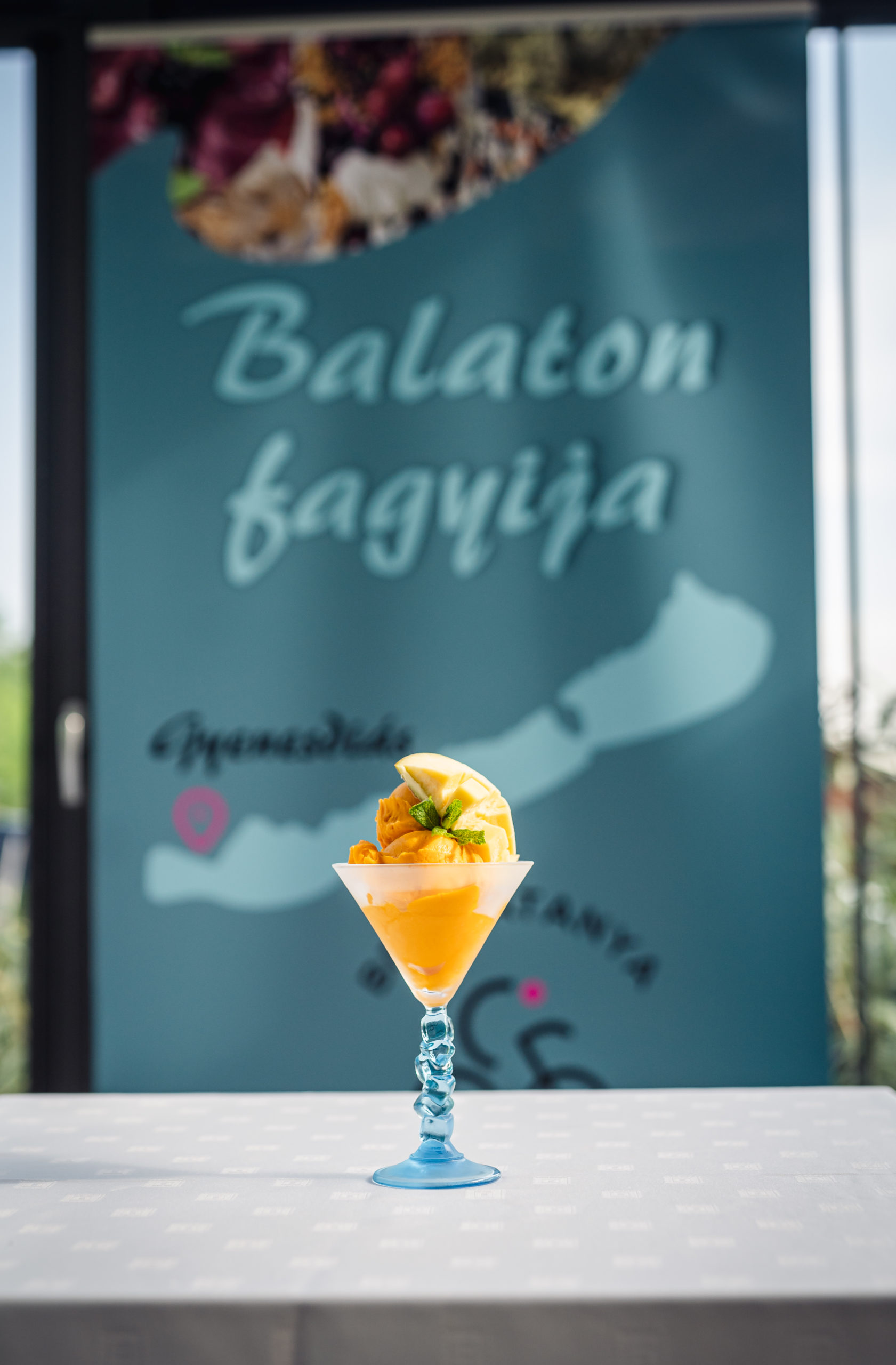 Balaton fagyija 02