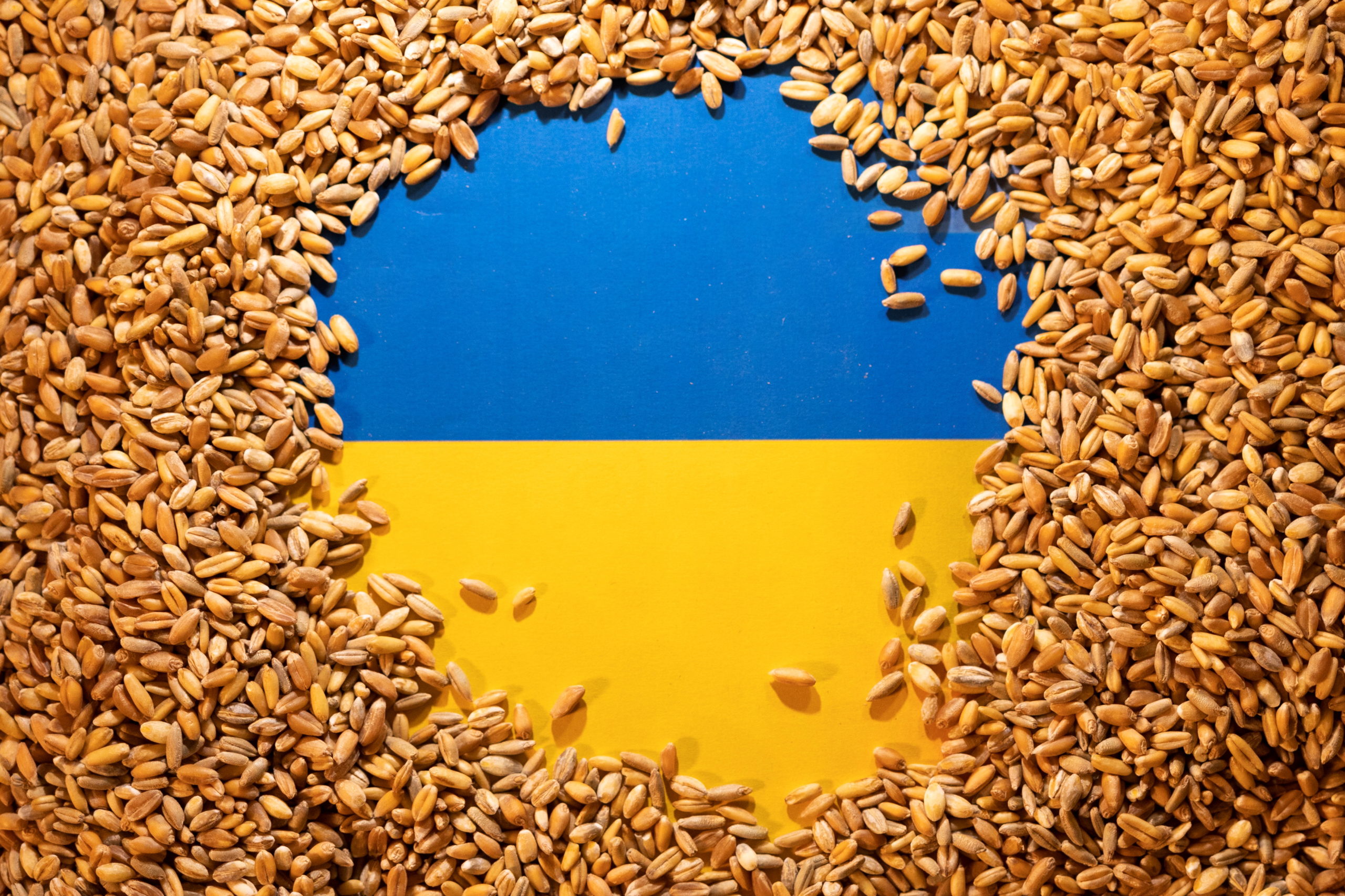 ukrán gabona